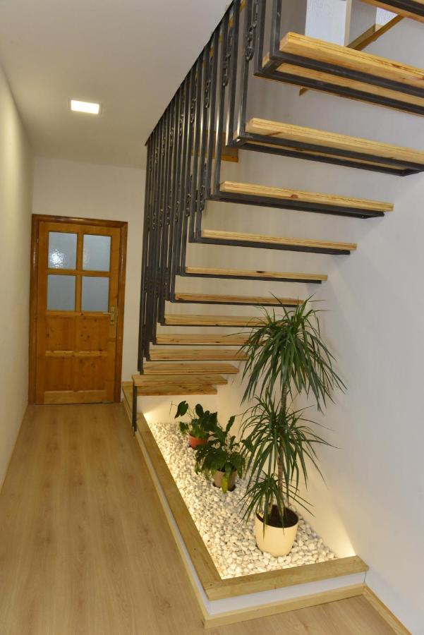 Milosavljevic Apartments Tivat Exteriér fotografie